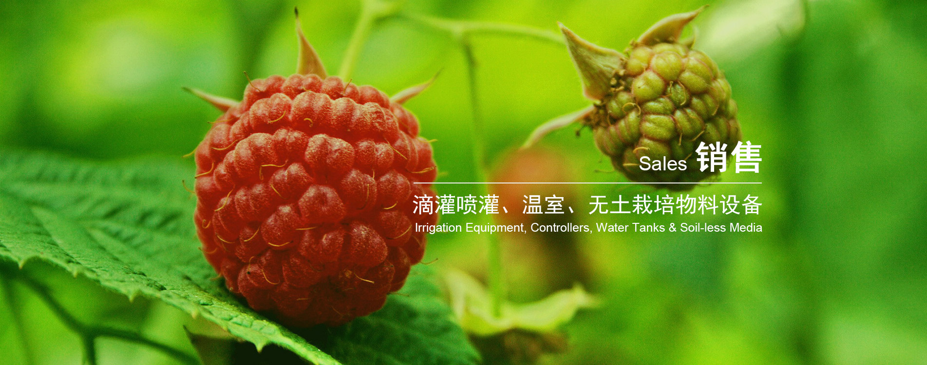 多乐游戏官网首页